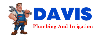 Trusted plumber in MC HENRY